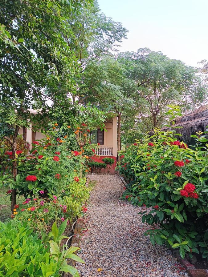 Crocodile Safari Camp Hotel Chitwan Exterior photo