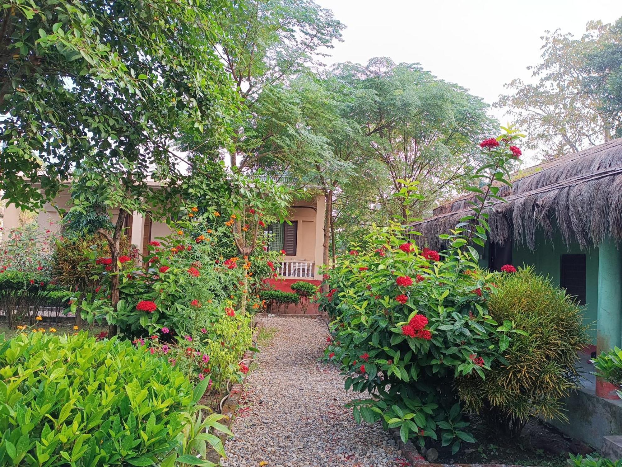 Crocodile Safari Camp Hotel Chitwan Room photo