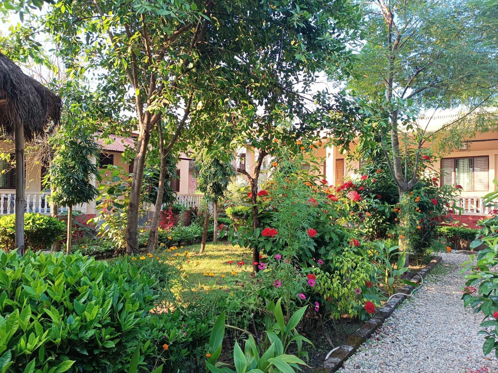 Crocodile Safari Camp Hotel Chitwan Room photo