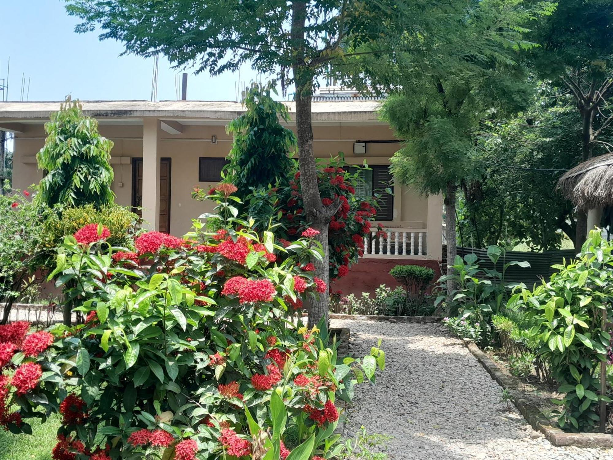 Crocodile Safari Camp Hotel Chitwan Exterior photo