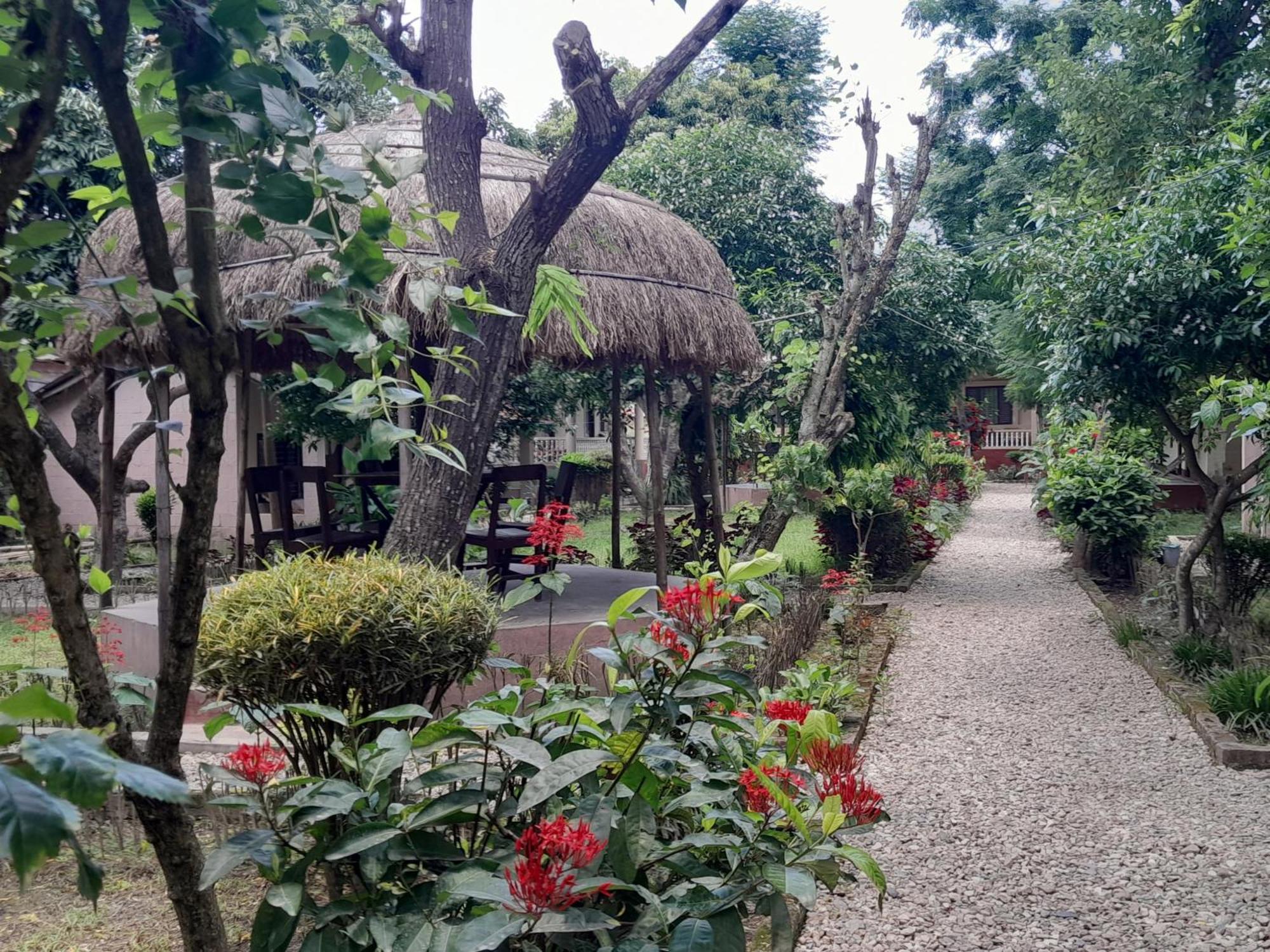 Crocodile Safari Camp Hotel Chitwan Exterior photo