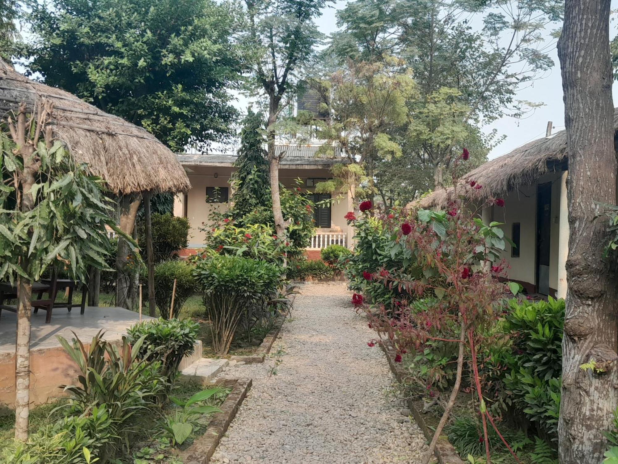 Crocodile Safari Camp Hotel Chitwan Room photo
