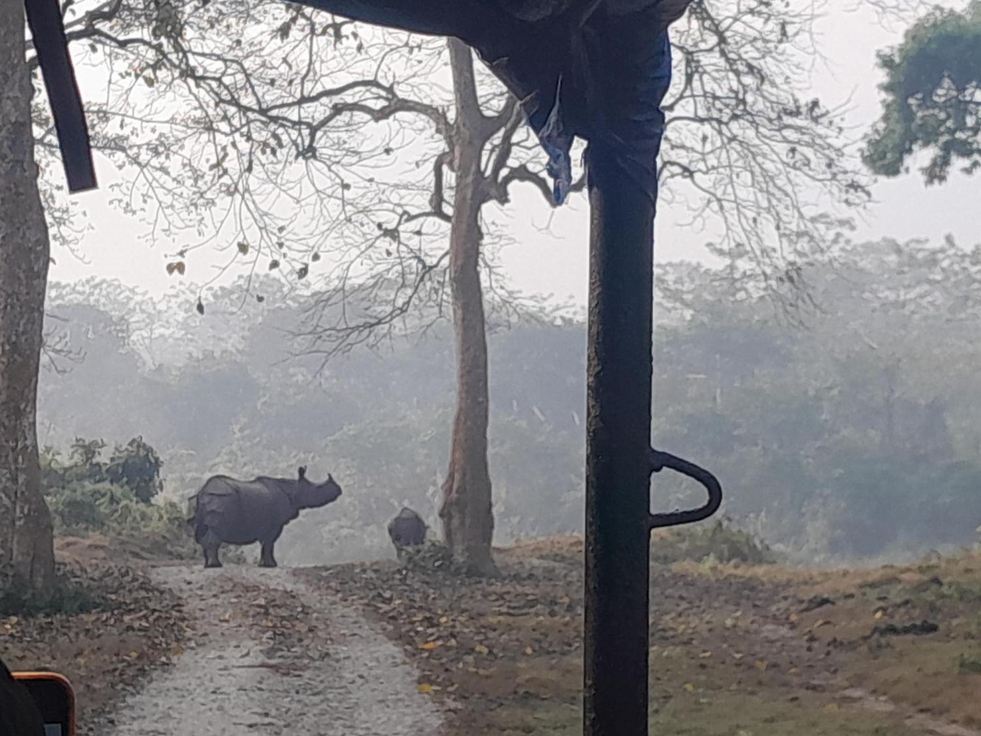Crocodile Safari Camp Hotel Chitwan Exterior photo